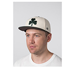 Бейсболка AMERICAN NEEDLE арт. SMU776A-BSH Boston Shamrocks Archive 400 MILB (зеленый / белый)
